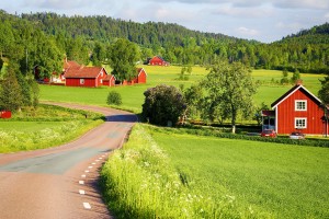 Rural homes in grassy area.